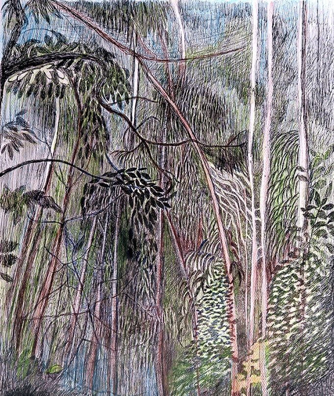 Tropical night forest-50X65cm - sold