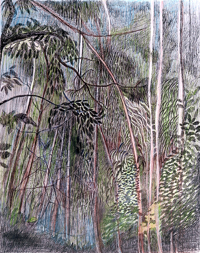 Tropical night forest-50X65cm